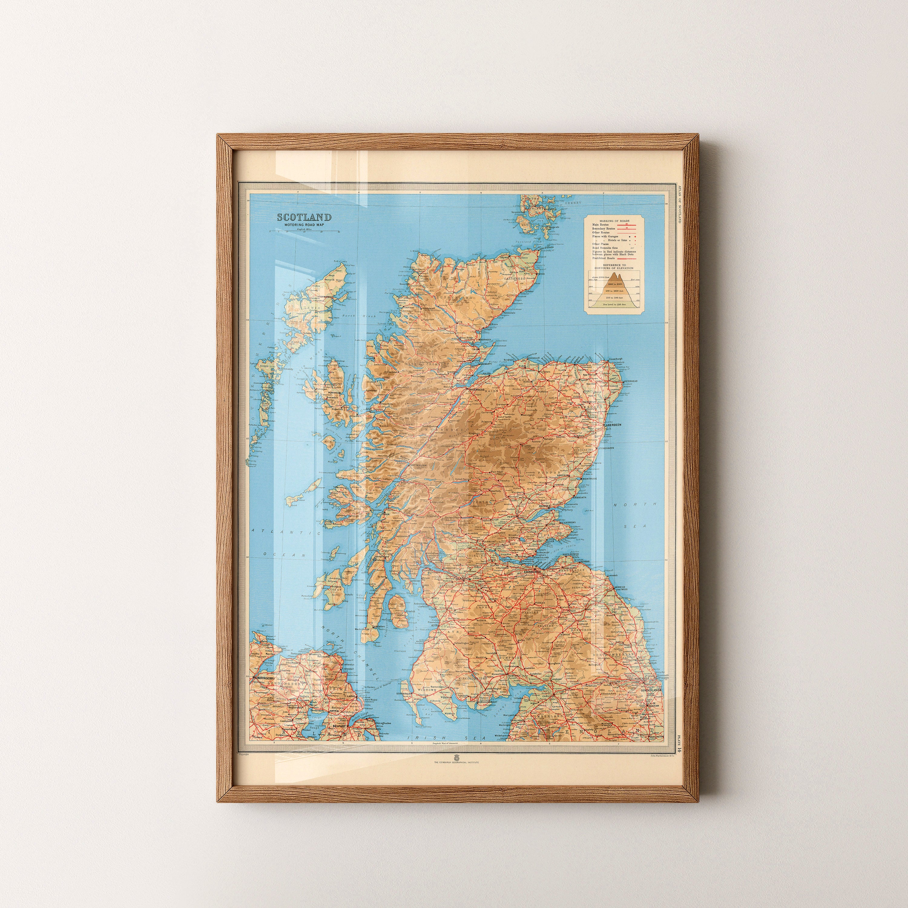 Scotland Pop Art Map Print (portrait)