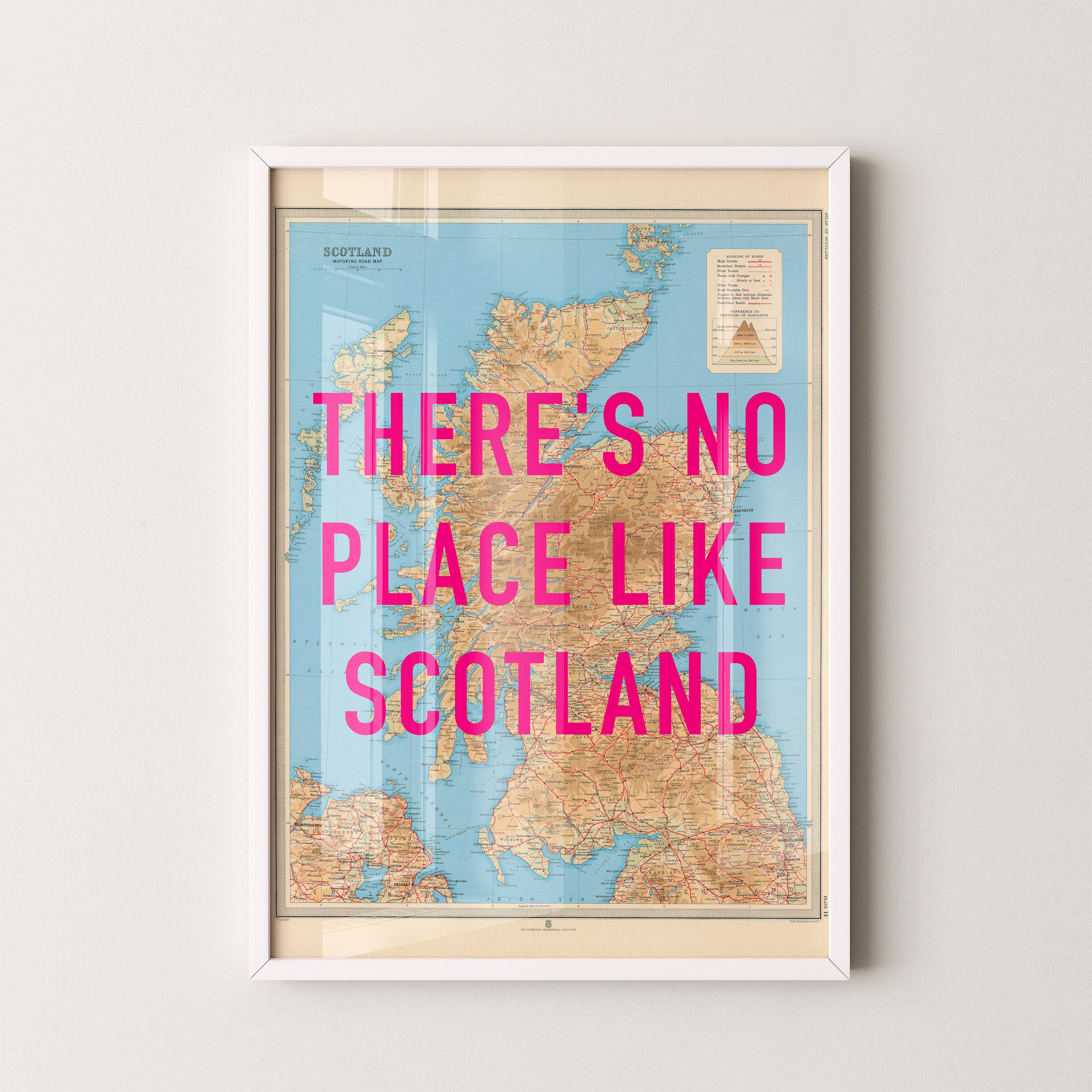 Scotland Pop Art Map Print (portrait)