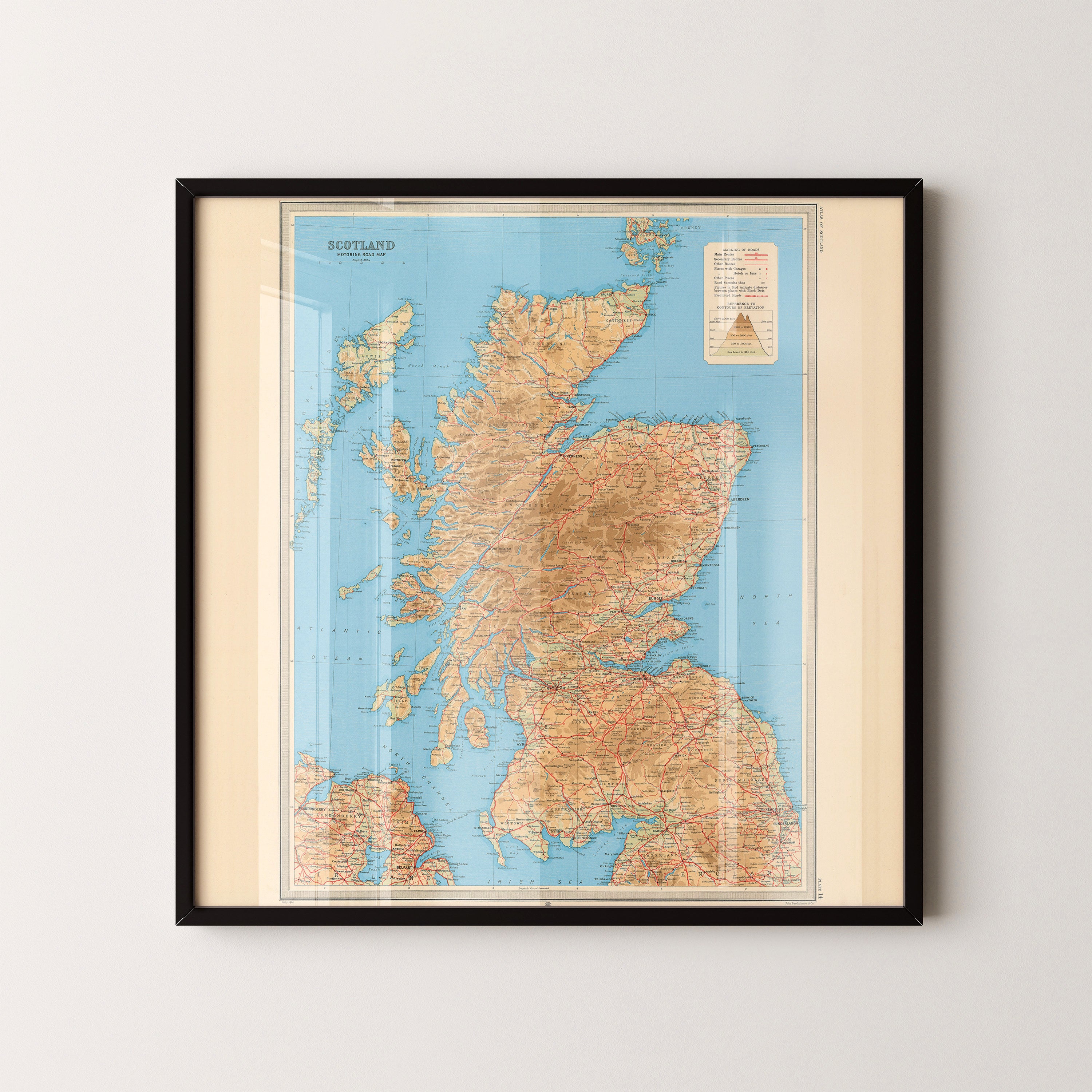 Scotland Pop Art Map Print (square)