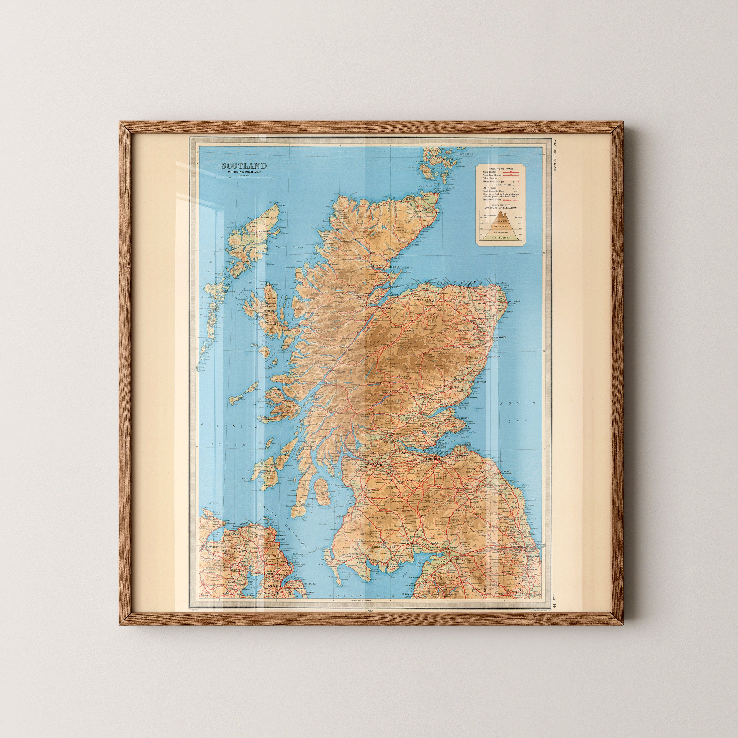 Scotland Pop Art Map Print (square)