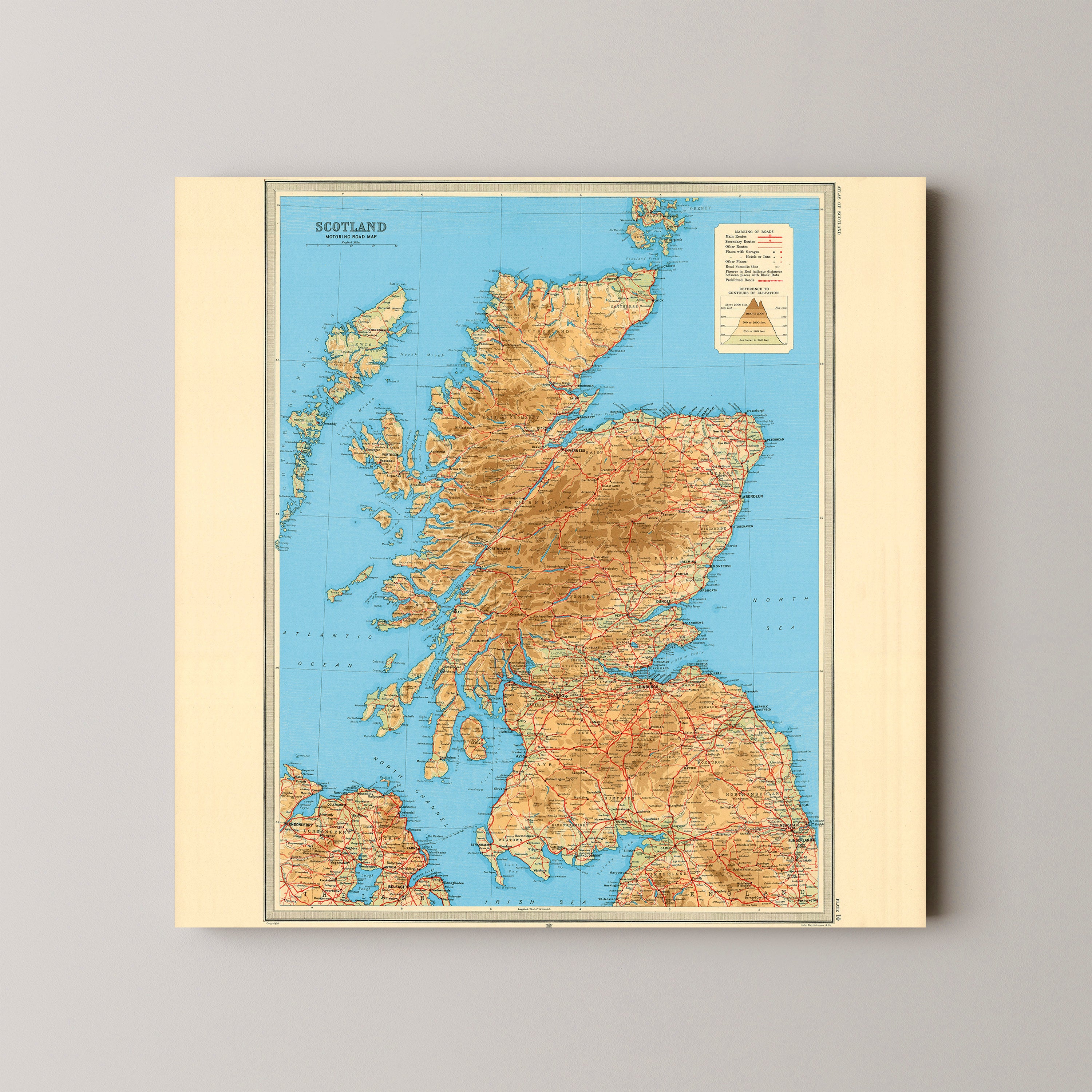 Scotland Pop Art Map Print (square)
