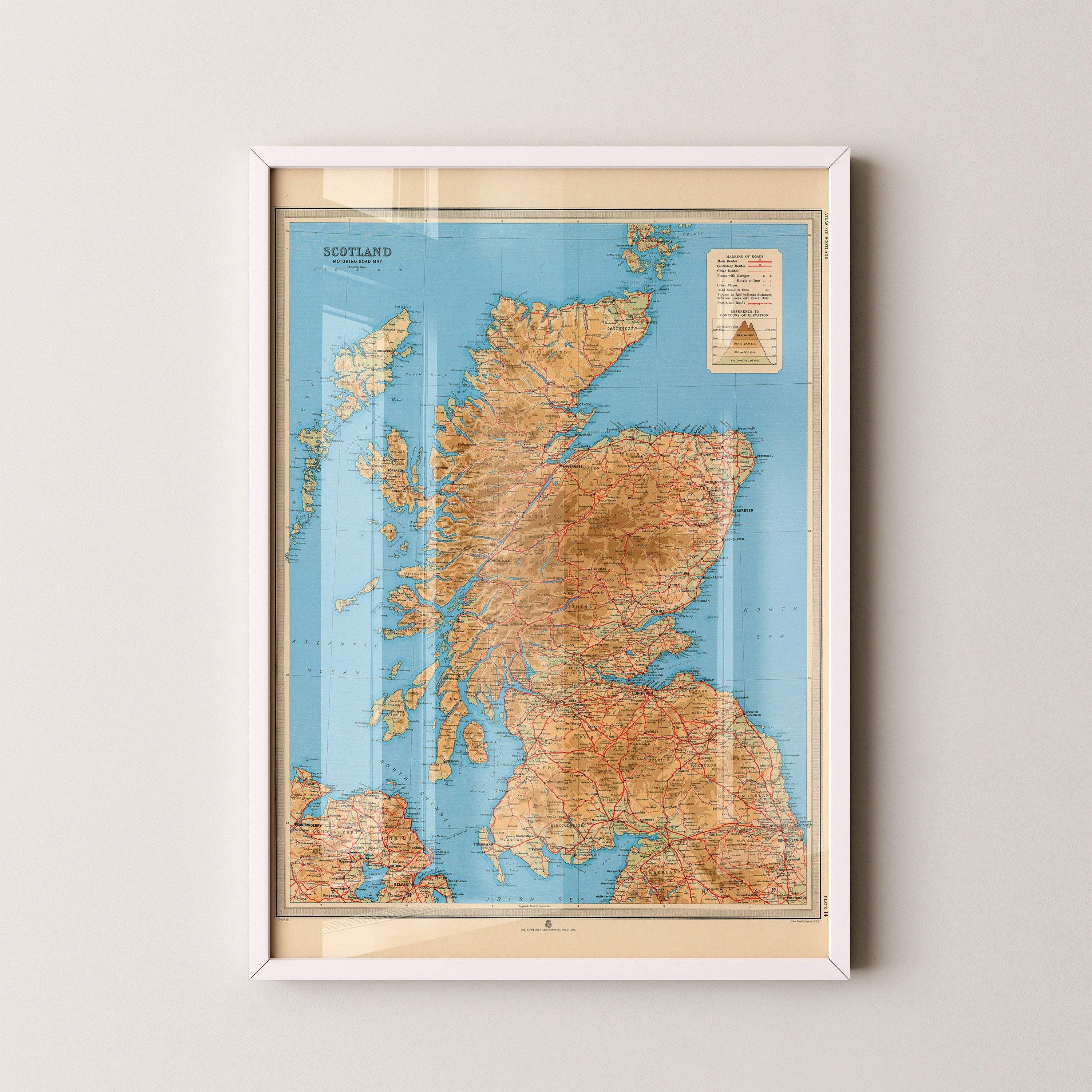 Scotland Pop Art Map Print (portrait)