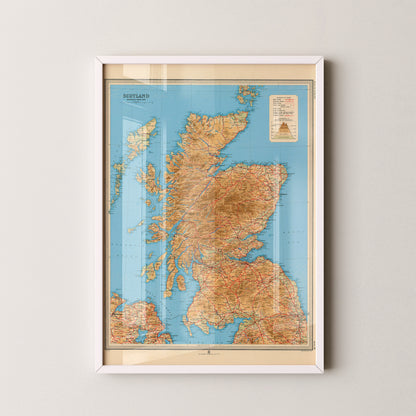 Scotland Pop Art Map Print (portrait)
