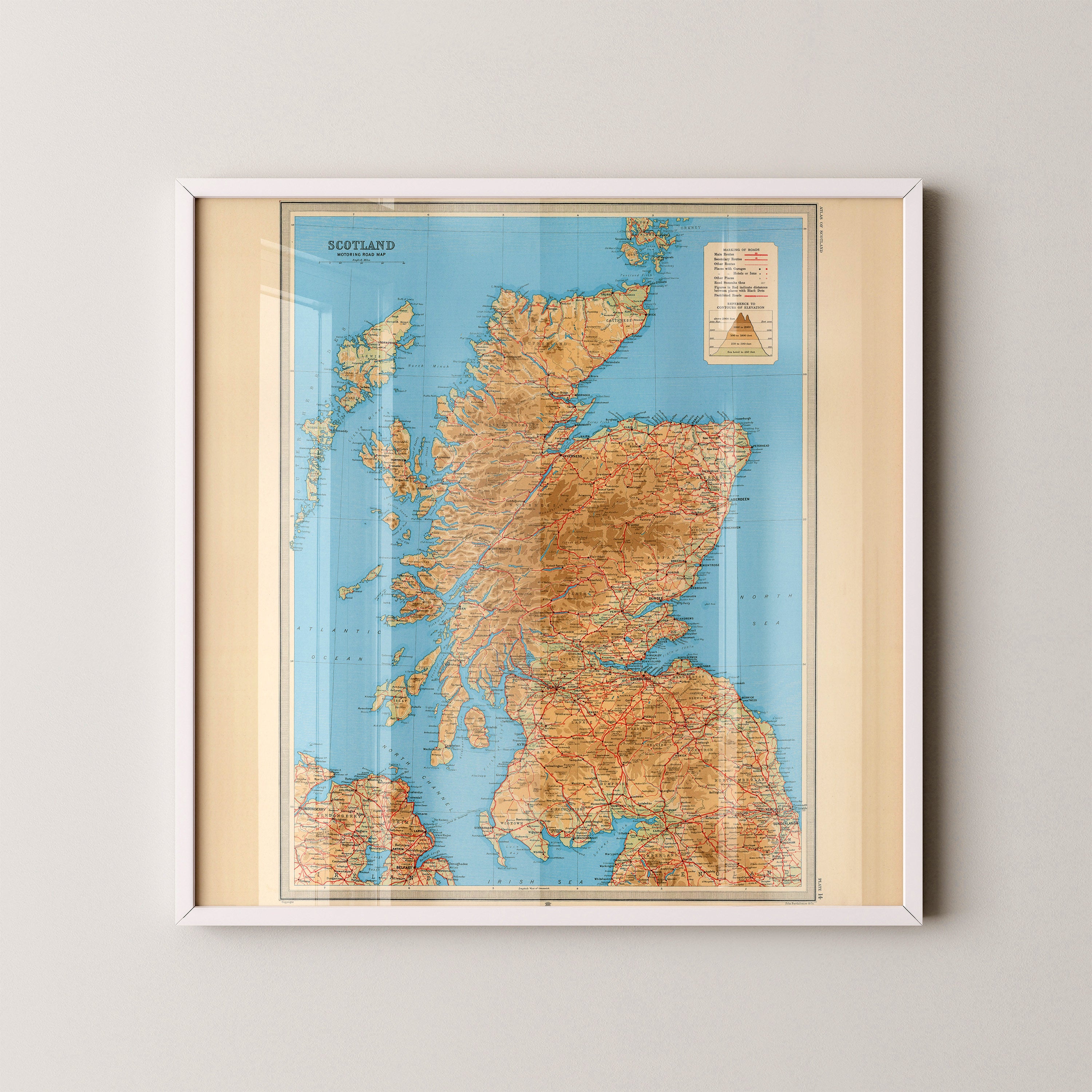 Scotland Pop Art Map Print (square)