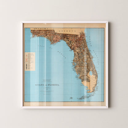 Florida Pop Art Map Print (square)